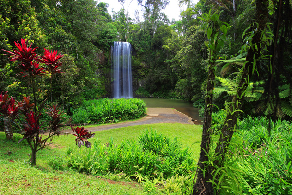 Millaa Millaa Falls, Queensland