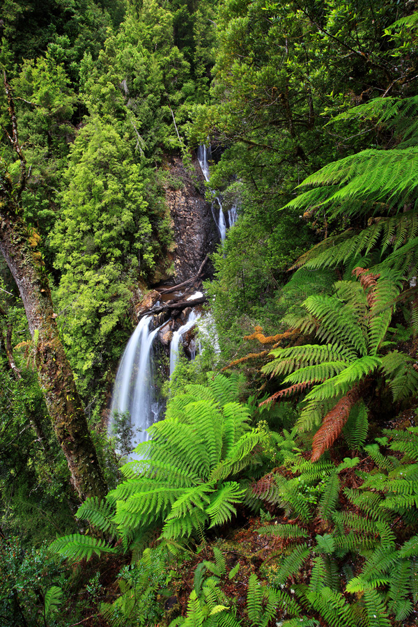Philosopher Falls, Tasmania